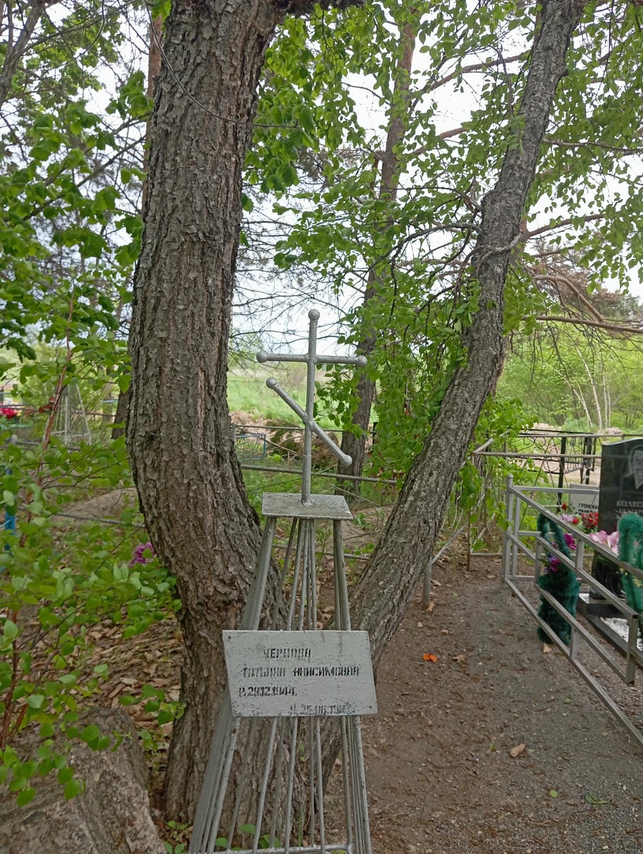 e27fbec8-0f8f-4c57-b70b-b2b7ed1675fa Чернова Татьяна Анисимовна