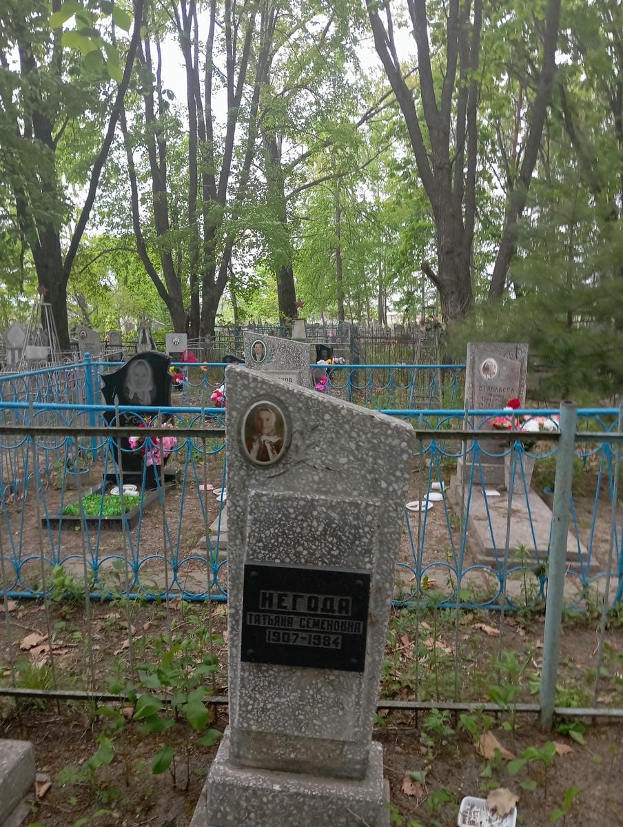 e2bb81ff-908d-4379-99bf-1b8690779b57 Негода Татьяна Семеновна