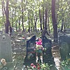 Луцук Павел Данилович