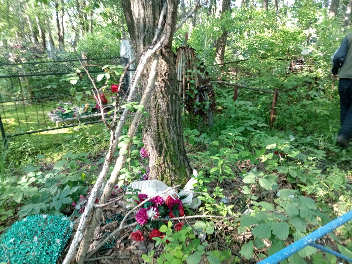 e2ec6a59-37bc-43f8-8713-1576aaf39ba6 Неизвестно Неизвестно Неизвестно