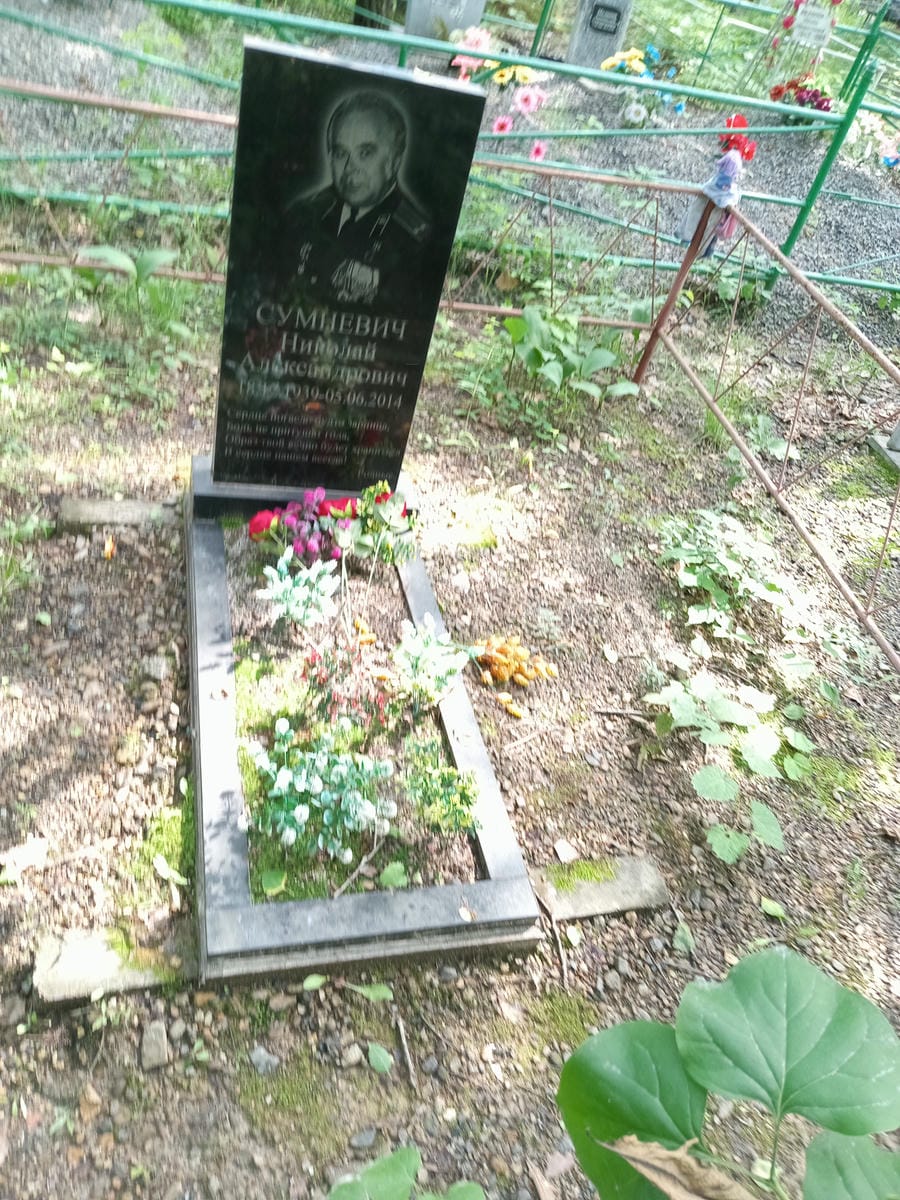 e32396c8-0b01-463f-88d9-3d13374ed049 Сумневич Николай Александрович