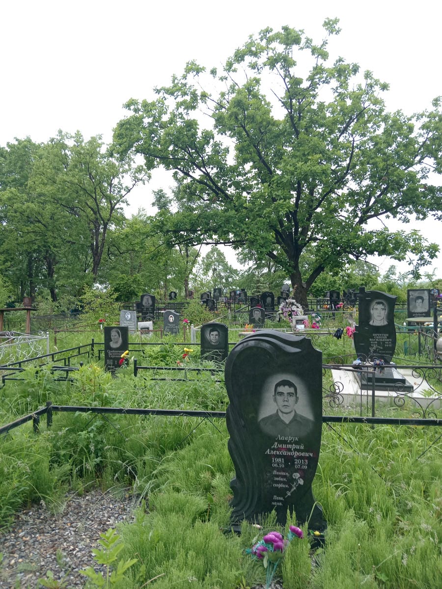 e358fbe5-ee0c-4b4b-8e79-327f1294f061 Лаврук Дмитрий Александрович