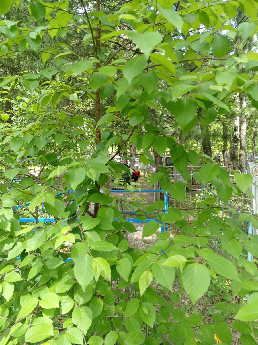 e377592c-d55a-493d-8047-de9575506c90 Мымрикова Надежда Романовна