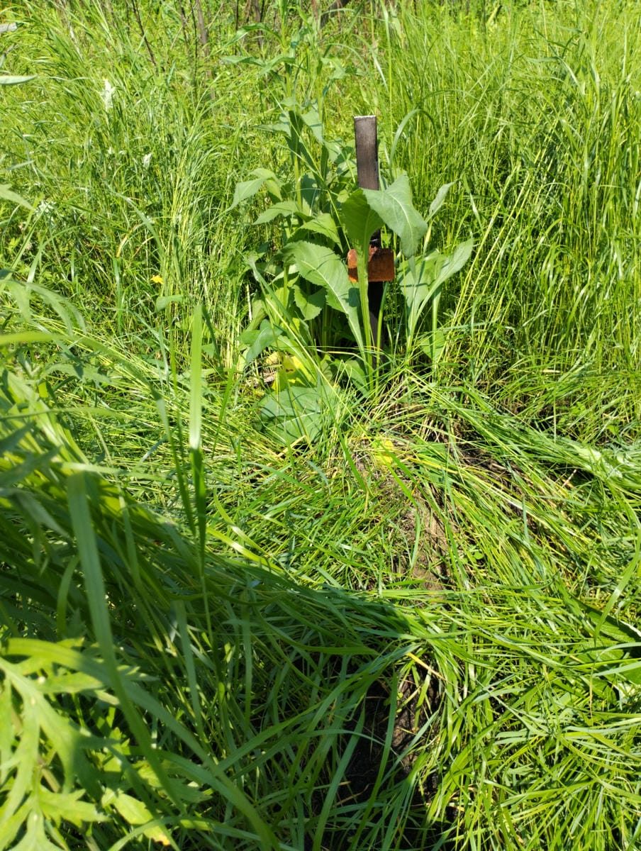 Неизвестно Неизвестно Неизвестно