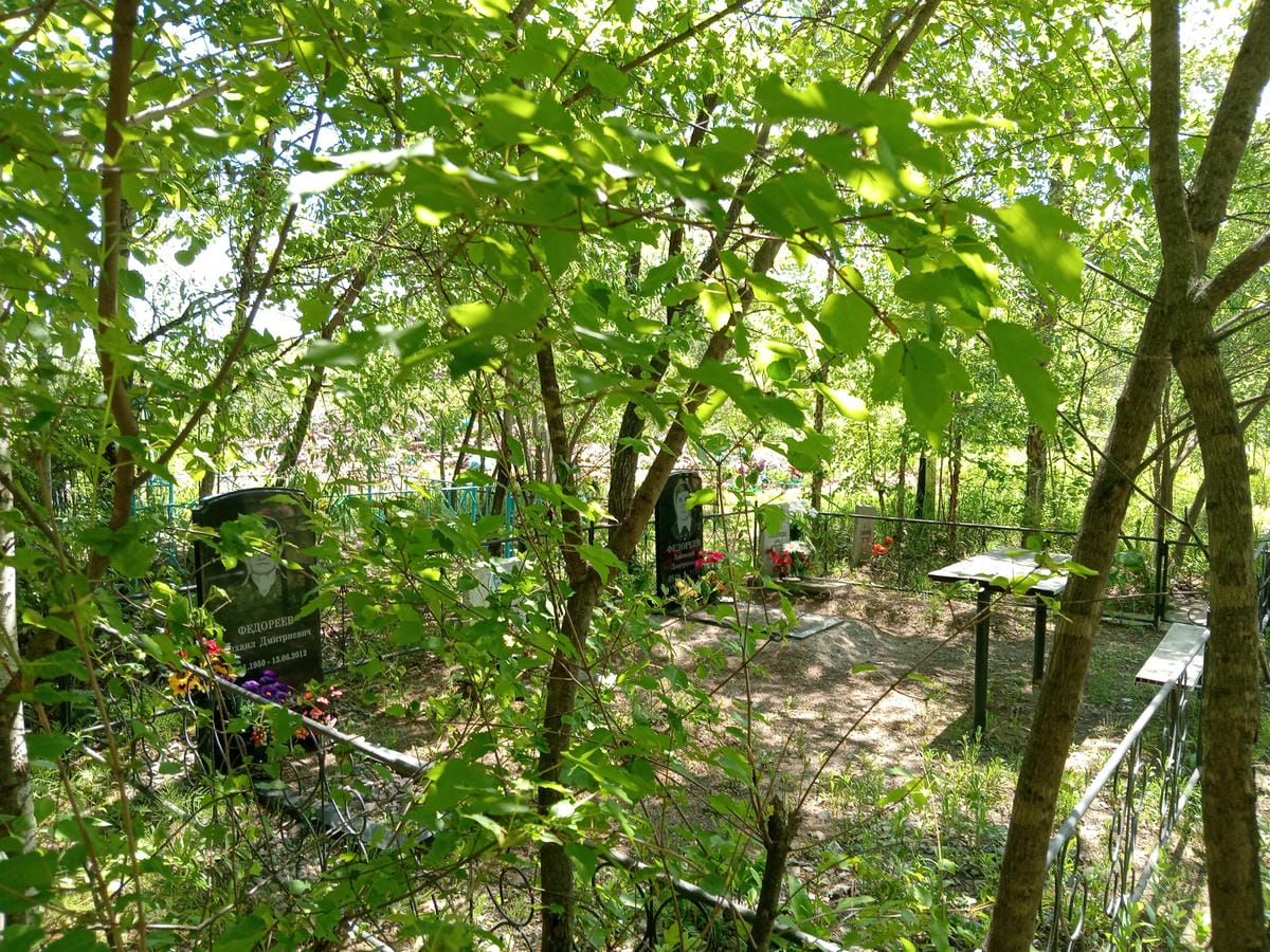 Федореева Анна Даниловна