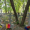 Жарков Иван Васильевич