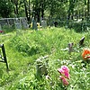Киреева Оксана Сергеевна