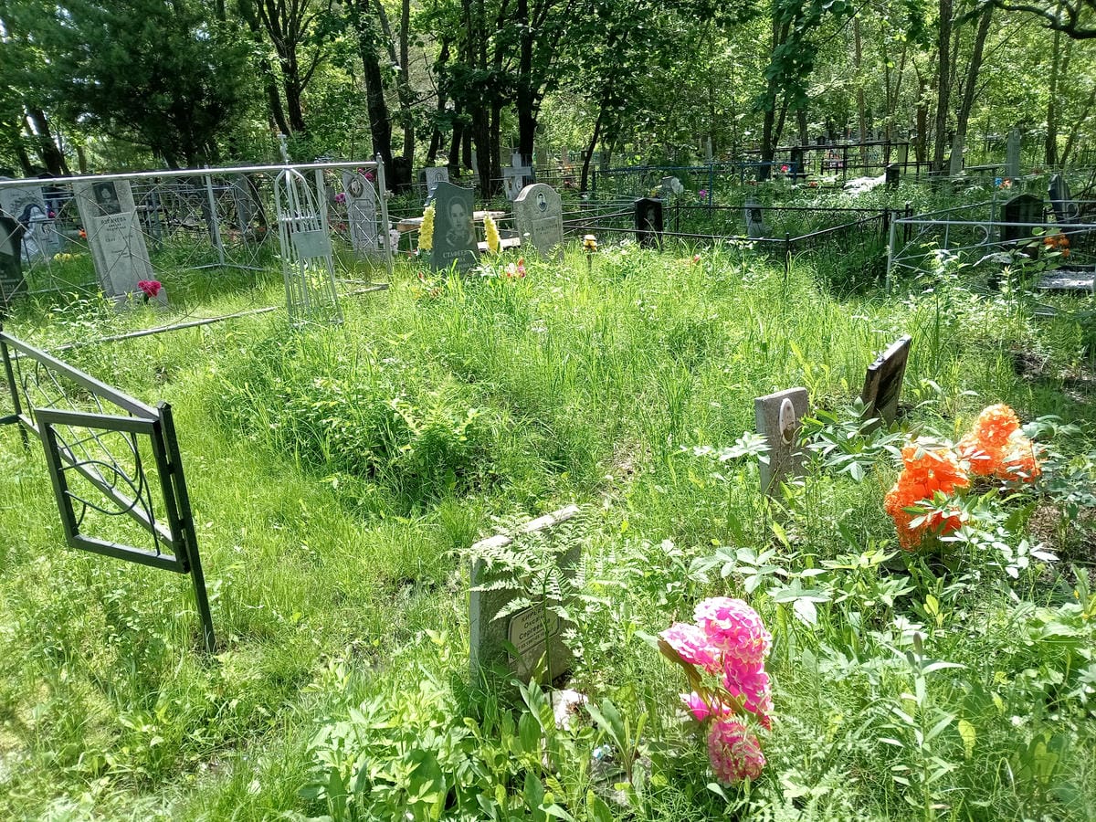 e3f89ae2-cc10-44ee-9f8d-a0dcaba500a5 Киреева Оксана Сергеевна