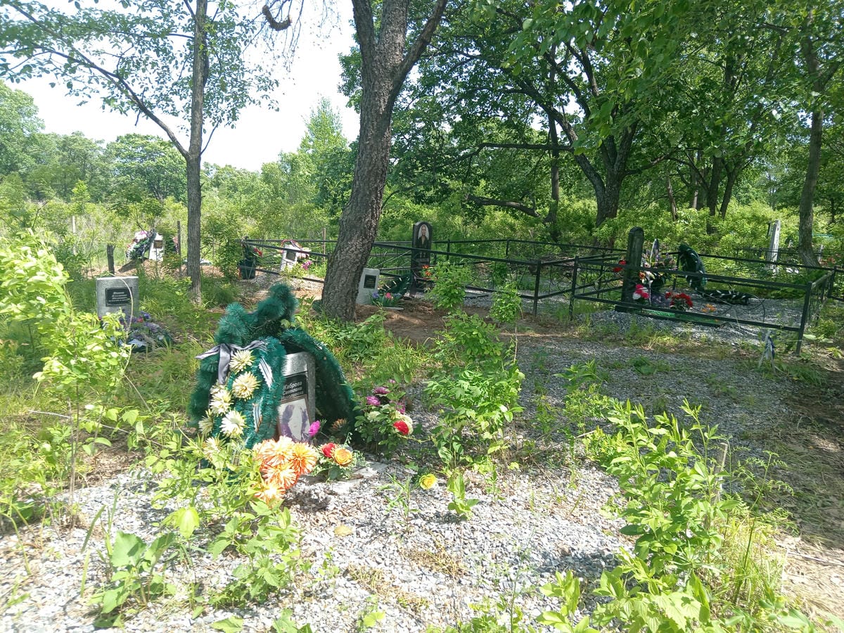 e4507111-059c-482a-9922-62d0da8d3726 Жаброва Светлана Николаевна