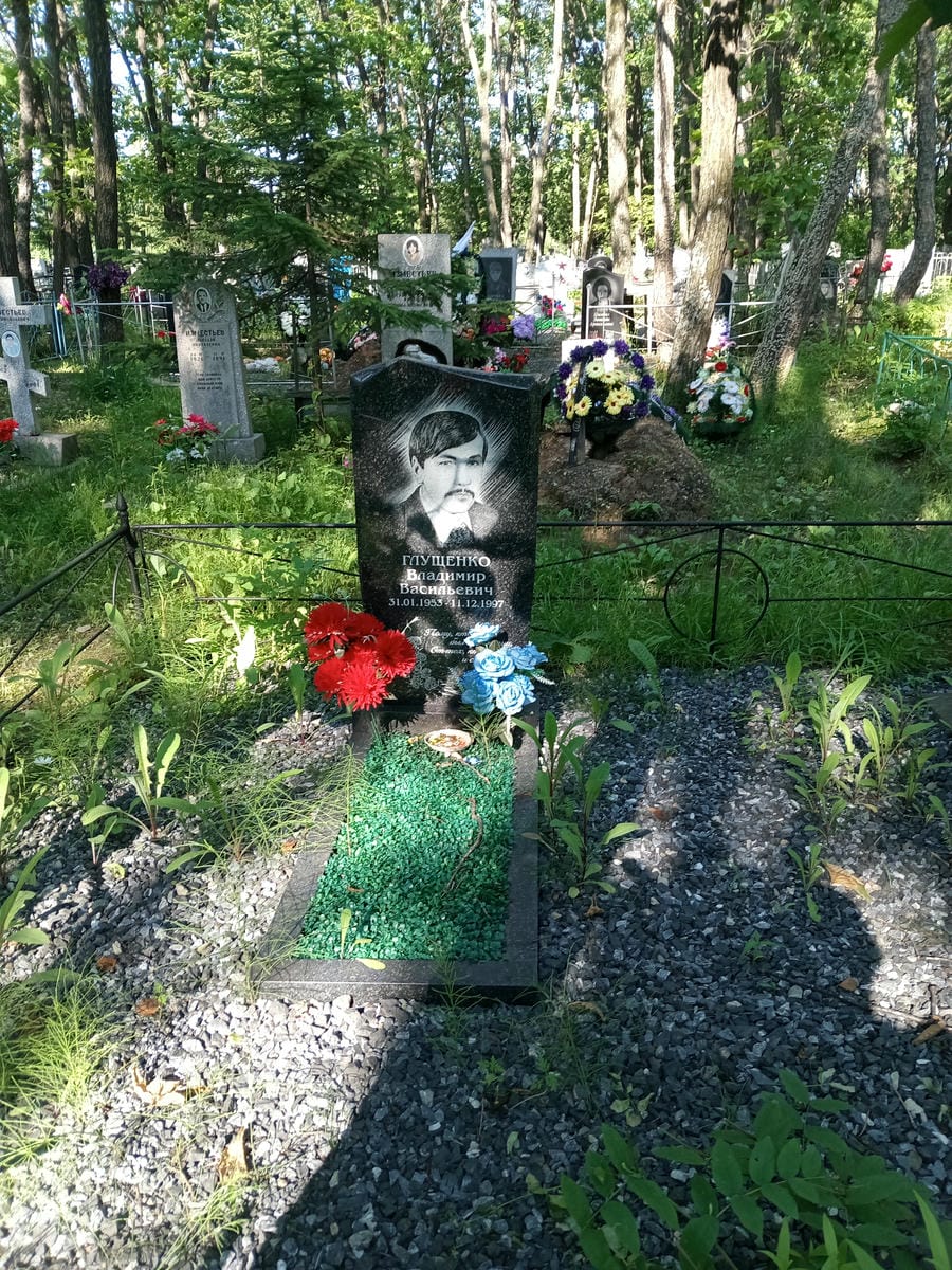 e48a7a6d-71f5-49eb-abc8-0e040f17cf0b Глущенко Владимир Васильевич