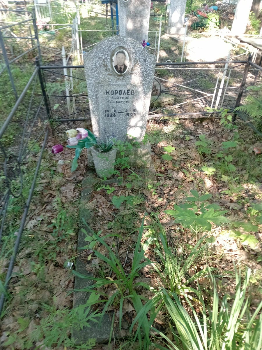 Королев Дмитрий Тимофеевич