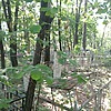 Волнов Алексей Юрьевич
