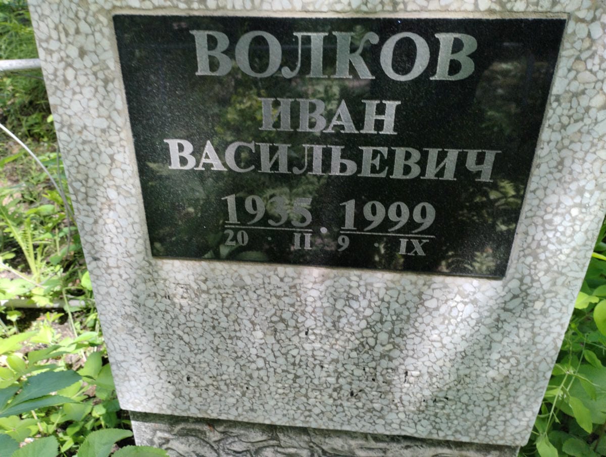 e4e737f6-8931-4752-883b-3598e91c870d Волков Иван Васильевич