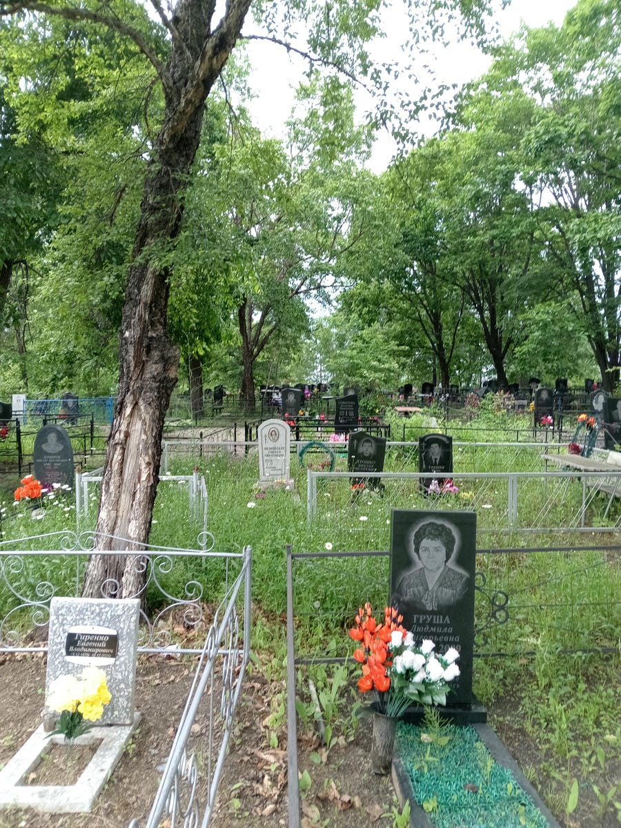 e5bd015d-56cb-4a8e-8bb2-3fa30652d07a Груша Людмила Григорьевна