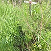 Неизвестно Неизвестно Неизвестно