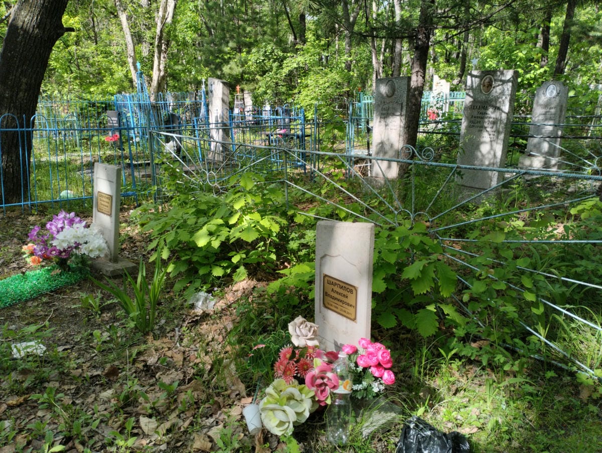 Шарпилов Алексей Владимирович