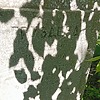 Груздева Пелагея Ивановна