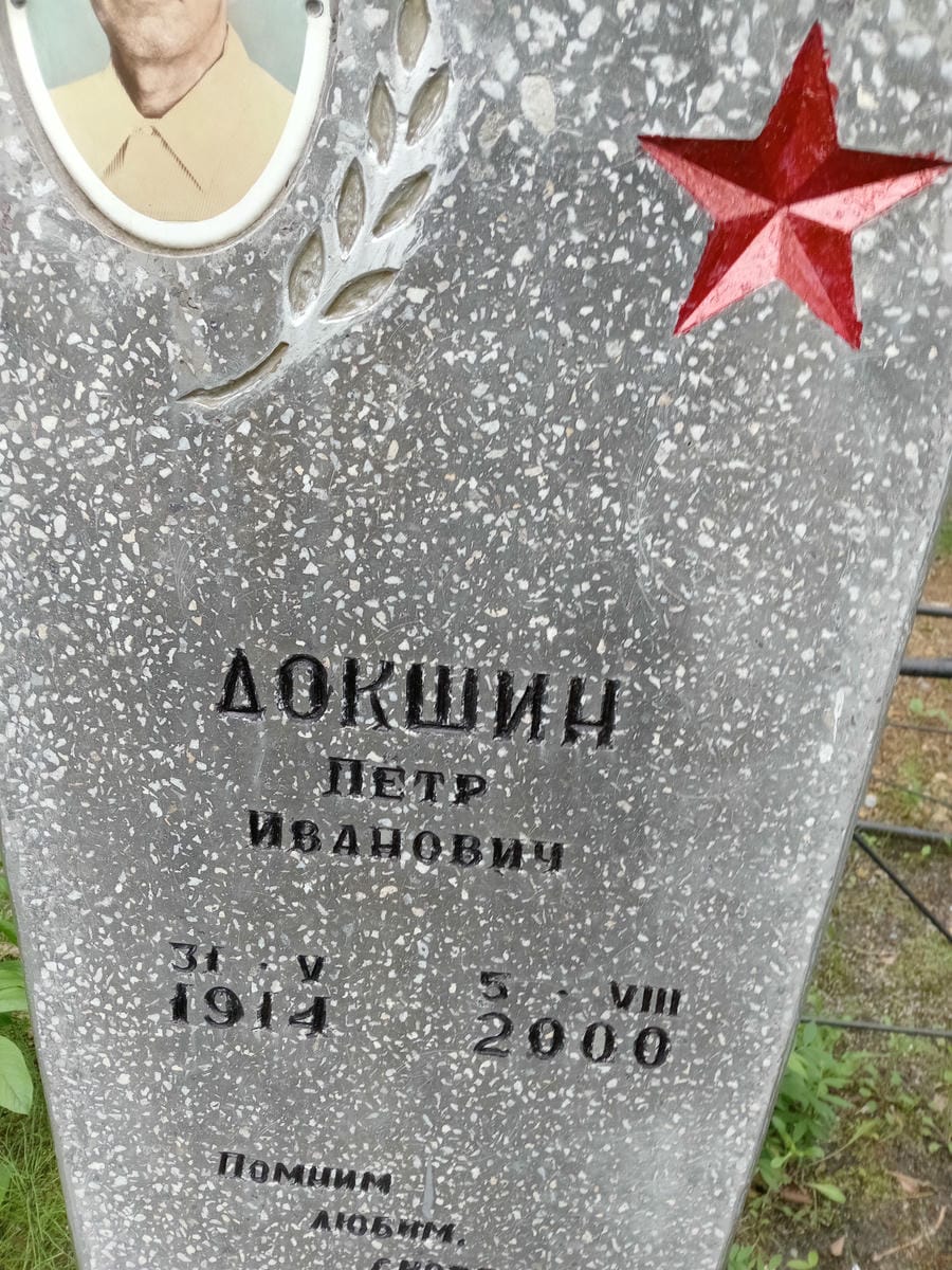 e6bab8f1-5c70-428a-bc5a-a533849da142 Докшин Петр Иванович