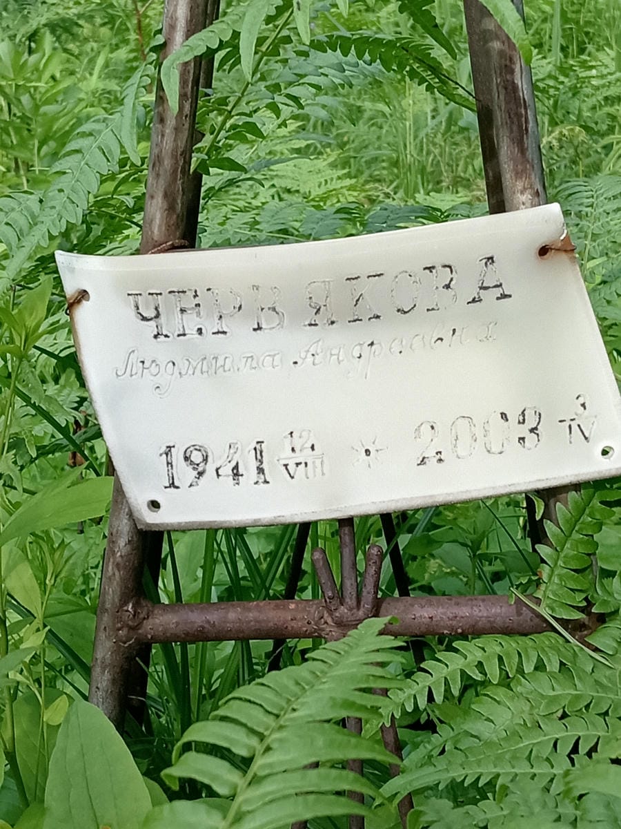 e6e907df-f698-423c-8878-387bce89dfbd Червякова Людмила Андреевна