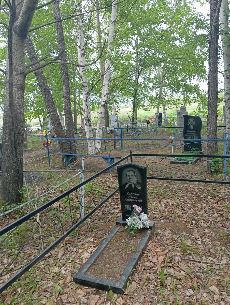 Харина Анна Андреевна