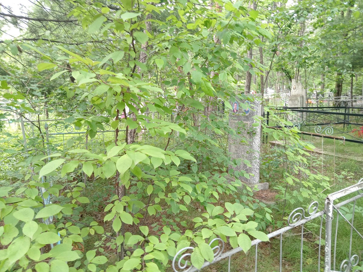 e7449269-ae67-4241-96a4-b825dee5ff5e Гутая Ксения Степановна