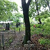 Гладских Ольга Александровна