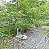 Ковалева Алина Аркадьевна