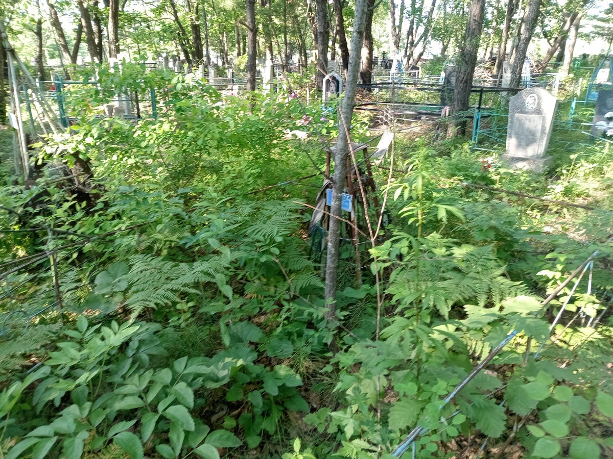 e83d836e-4c2f-4110-8050-6c0b8db7bac0 Бабочкина Л Д