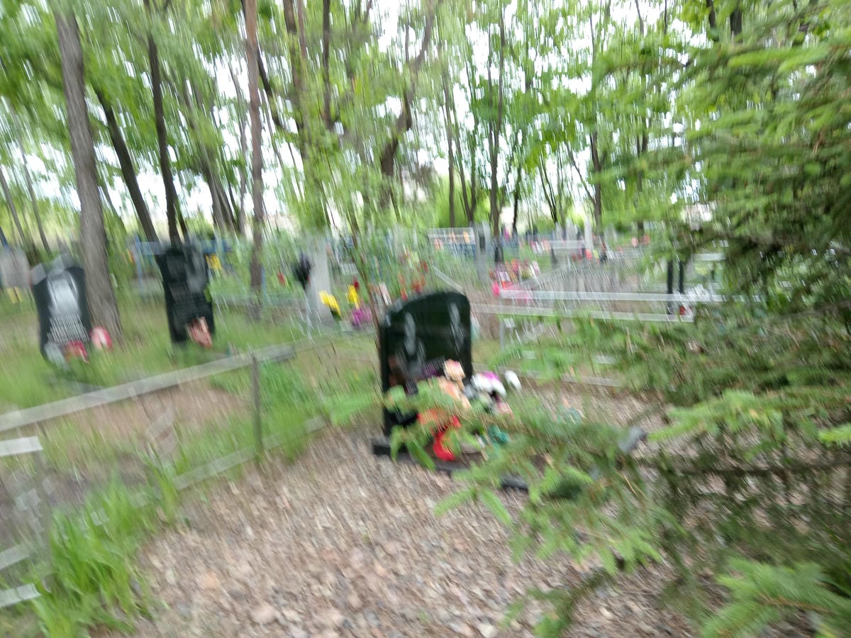 e91d8462-83a7-47cd-889f-71670fc9f3e6 Конончук Ольга Порфировна