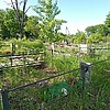 Хорольский Андрей Юрьевич