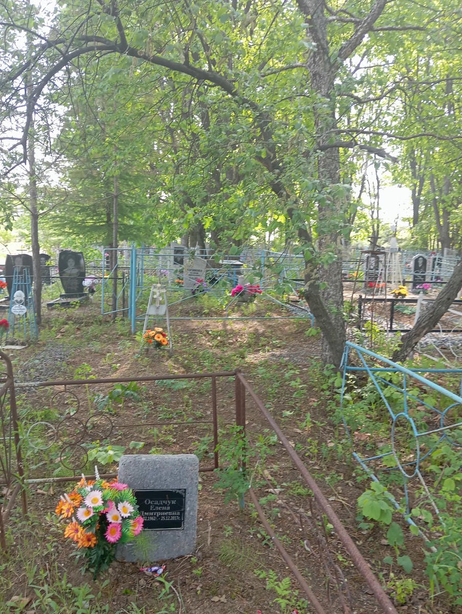 Осадчук Елена Дмитриевна