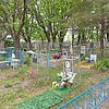 Мишарина Анна Анндреевна