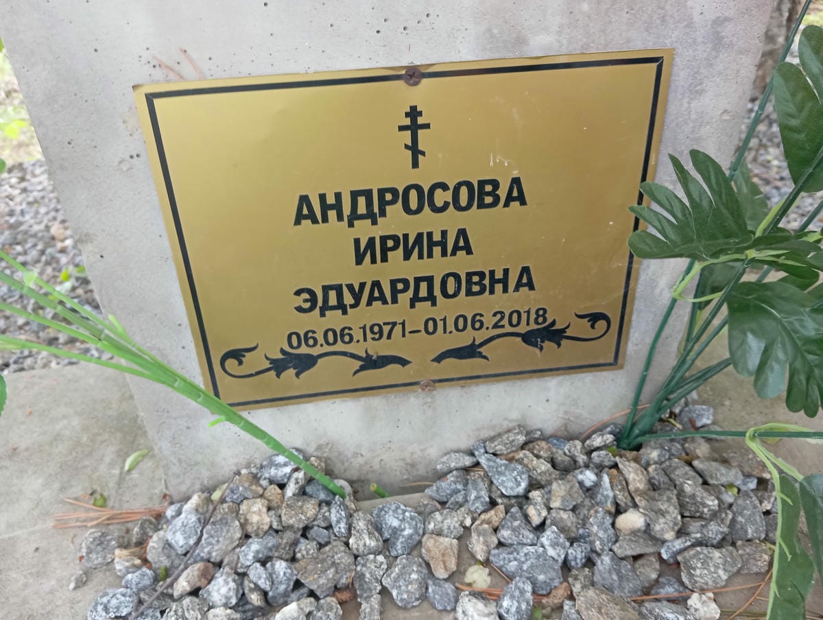 Андросова Ирина Эдуардовна