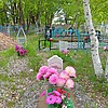 Чижова Лерочка Неизвестно