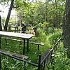 Старовит Екатерина Яковлевна