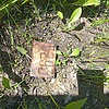 ec40deb5-0f5d-48df-aa8e-f0404c72730c Неизвестно Неизвестно Неизвестно