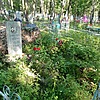 Гришачкина Алиса Михайловна