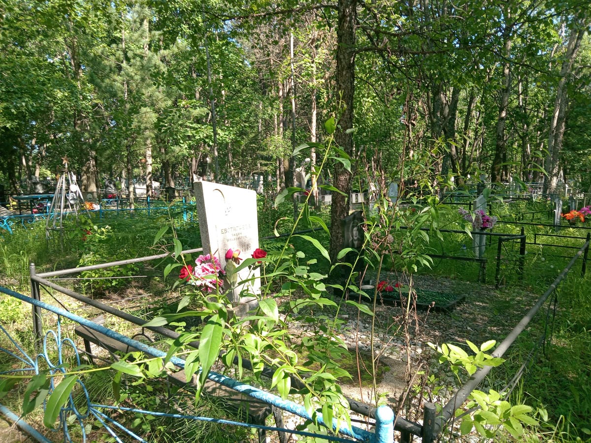 Евстигнеев Вадим Николаевич