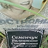 Семенчук Валентина Степановна