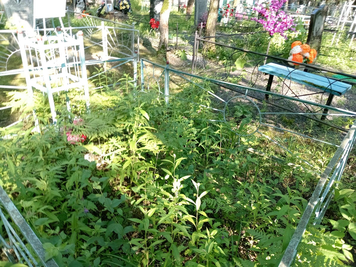 ed002381-e3c8-4984-a463-2590faec5b2c Соловьев Иван Ефимович