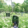 Лукина Вера Алексеевна