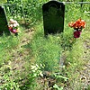 Карлов Илья Андреевич