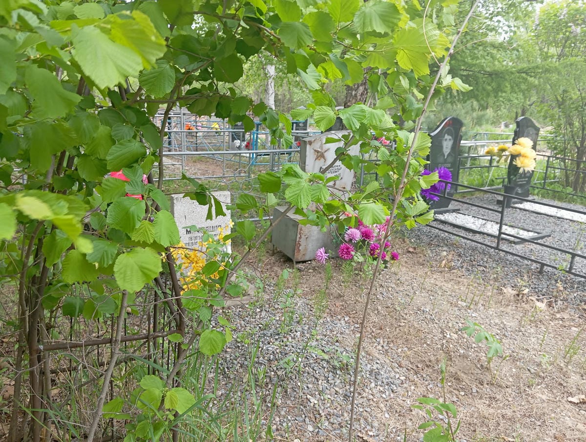 Макшанов Александр Александрович