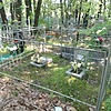 Смолиус Роман Александрович