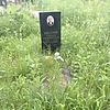 Киселёв Гаврил Трофимович