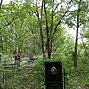 Коренева Софья Петровна