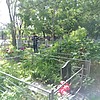 Пак Сетлана Михайловна