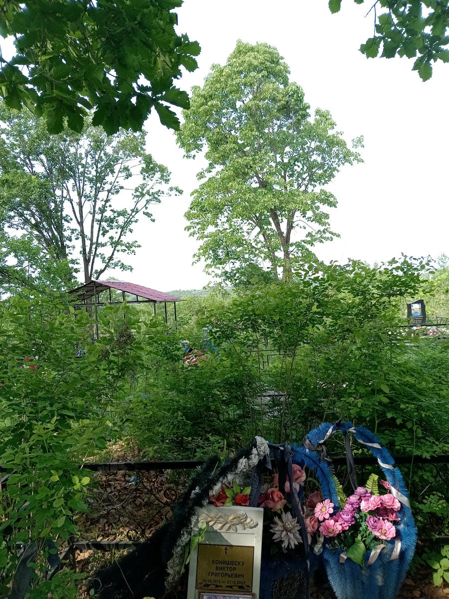 ee9997a3-4f00-44ae-ab2b-8b22ae458f06 Конишеску Виктор Григорьевич