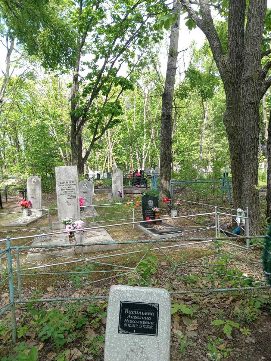 Васильева Ангелина Николаевна