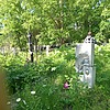 Гресько Светлана Геннадьевна